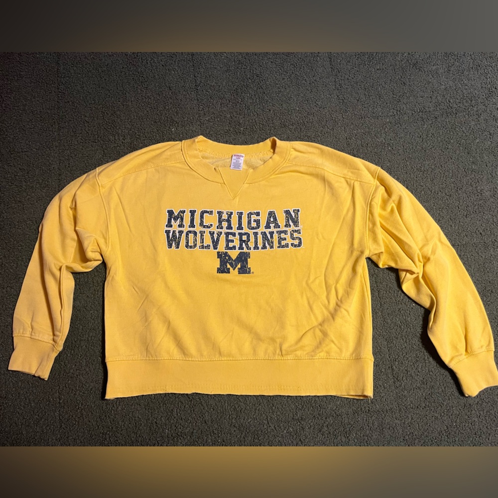 University of Michigan Cropped Sweater